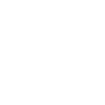 white favicon-final